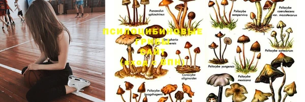 2c-b Арсеньев