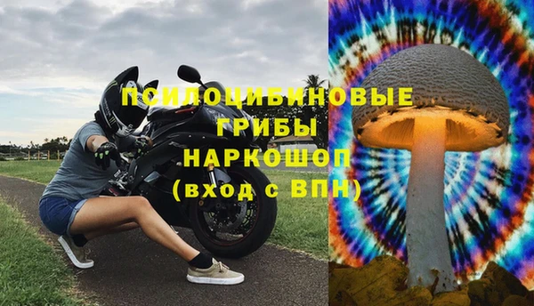ALPHA PVP Аркадак