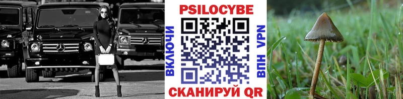 Псилоцибиновые грибы мицелий  OMG ссылки  Мезень 